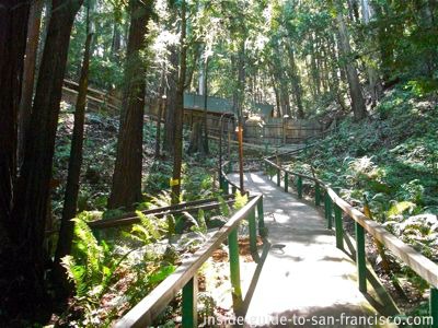 The Mystery Spot Santa Cruz enter the Vortex