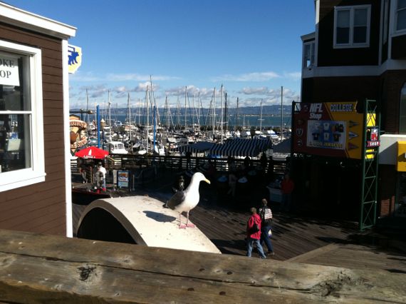 PIER 39 - Get your San Francisco Giants gear from the NFL/College