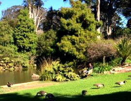 San Francisco Conservatory Of Flowers A Local S Review