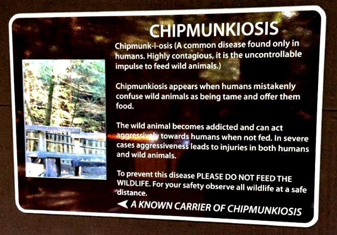 muir woods sign warning not to feed the animals, chipmunkiosis