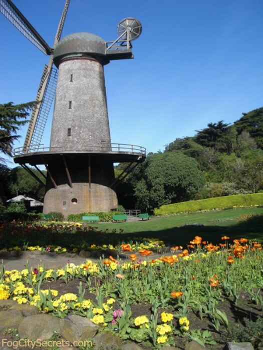 Gardens In Golden Gate Park Roses Redwoods Shakespeare And More
