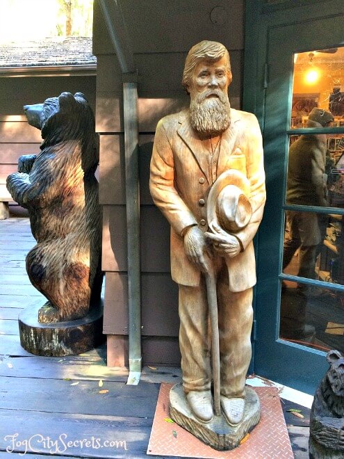 carved wooden john muir statue in muir woods