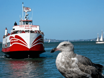 Red and White Ferry