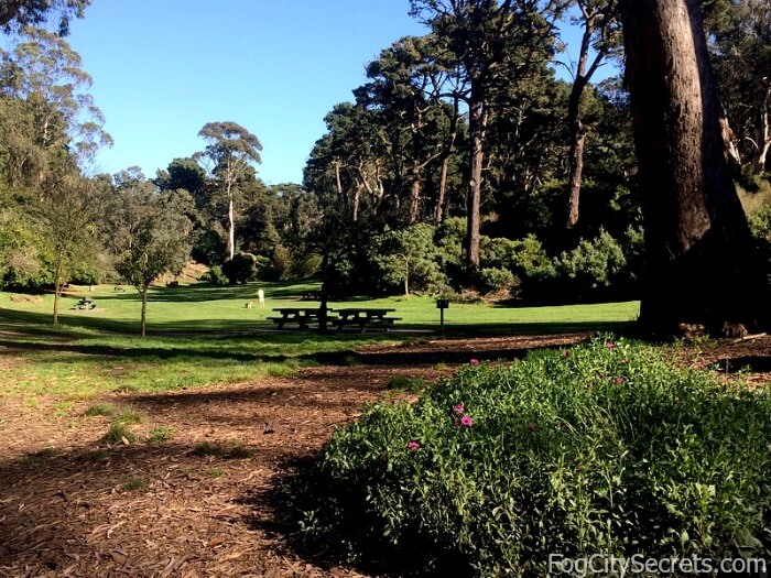 The Complete Guide to Golden Gate Park for 2019 | Fog City Secrets