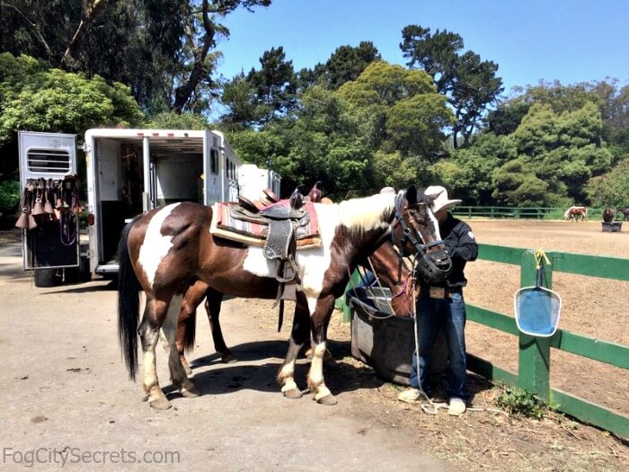 The Complete Guide to Golden Gate Park for 2019 | Fog City Secrets